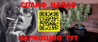 ECSTASY Берёзовский