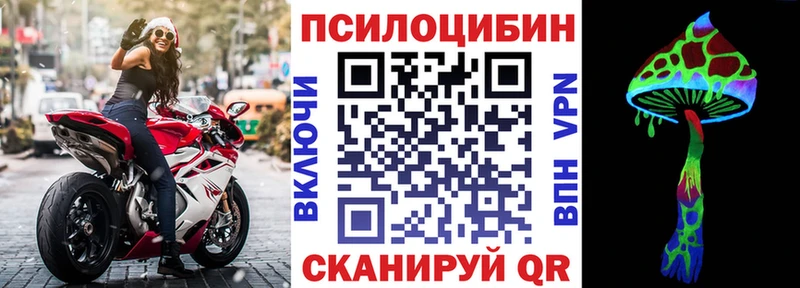 Галлюциногенные грибы прущие грибы нарко площадка телеграм Елизово где купить наркоту