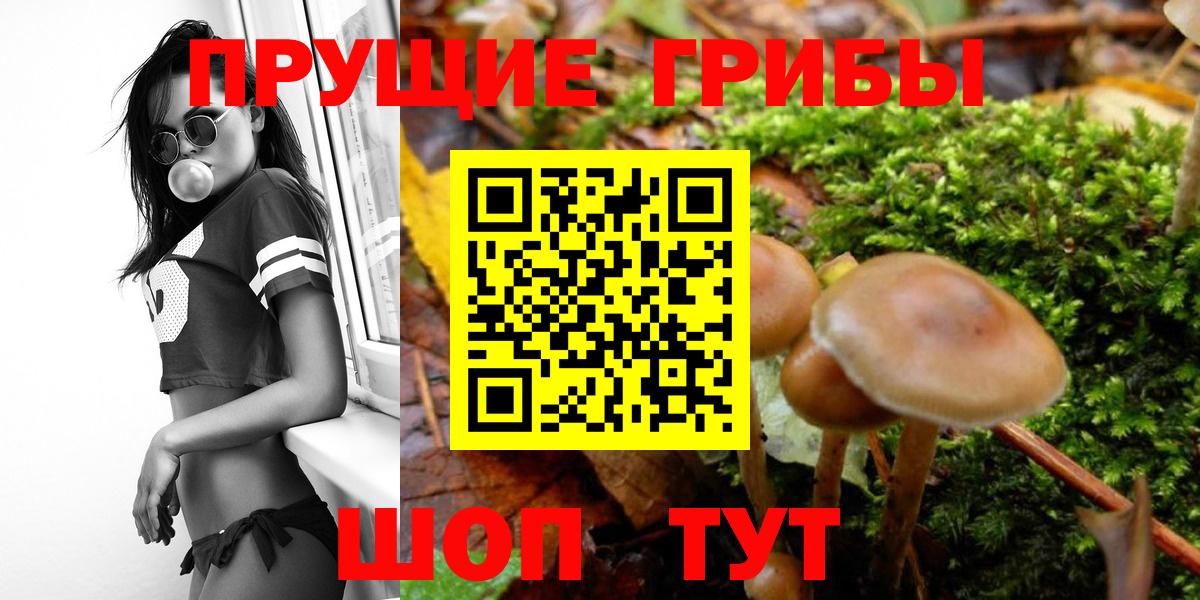 Галлюциногенные грибы Magic Shrooms  Вход с VPN  Псилоцибиновые грибы мицелий  цена   Елизово 