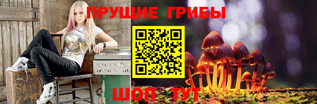 Галлюциногенные грибы прущие грибы  Елизово 