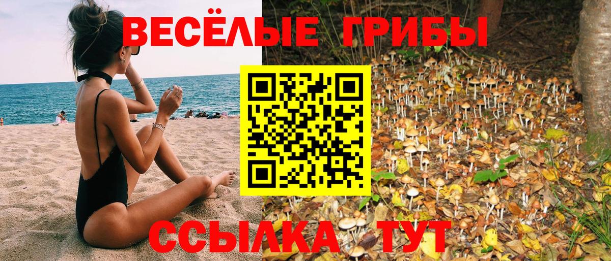 Псилоцибиновые грибы MAGIC MUSHROOMS Елизово